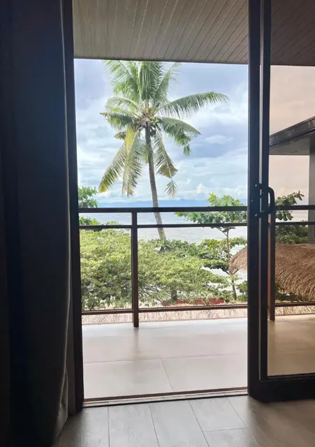 Glass door opening to a balcony and palm tree